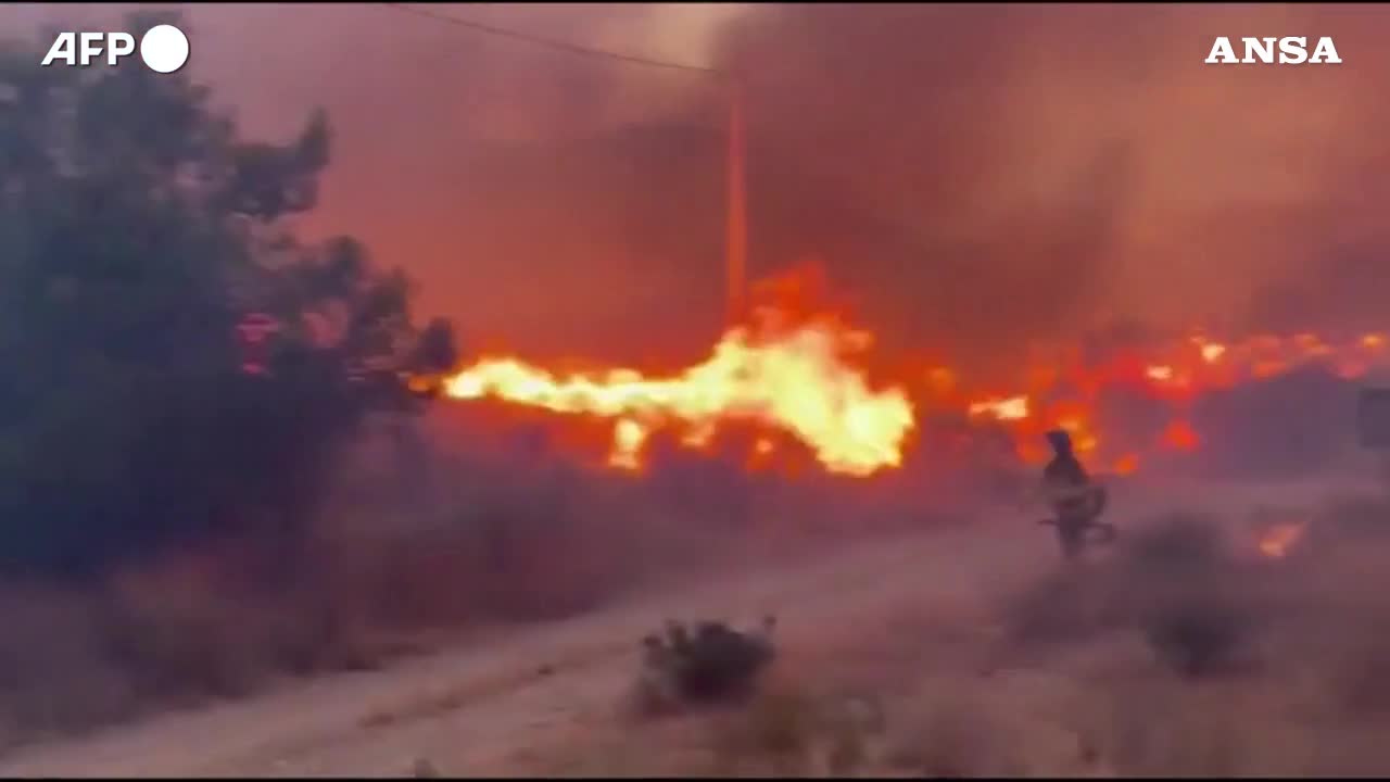 Maxi rogo in Spagna, in fiamme i boschi dell’Andalusia