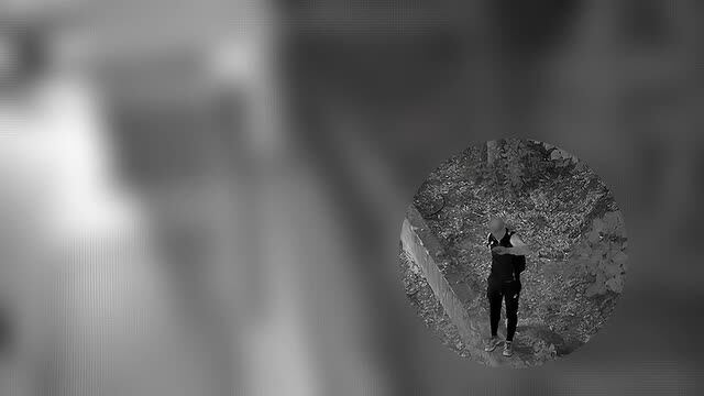 Il sopralluogo dei ladri | VIDEO