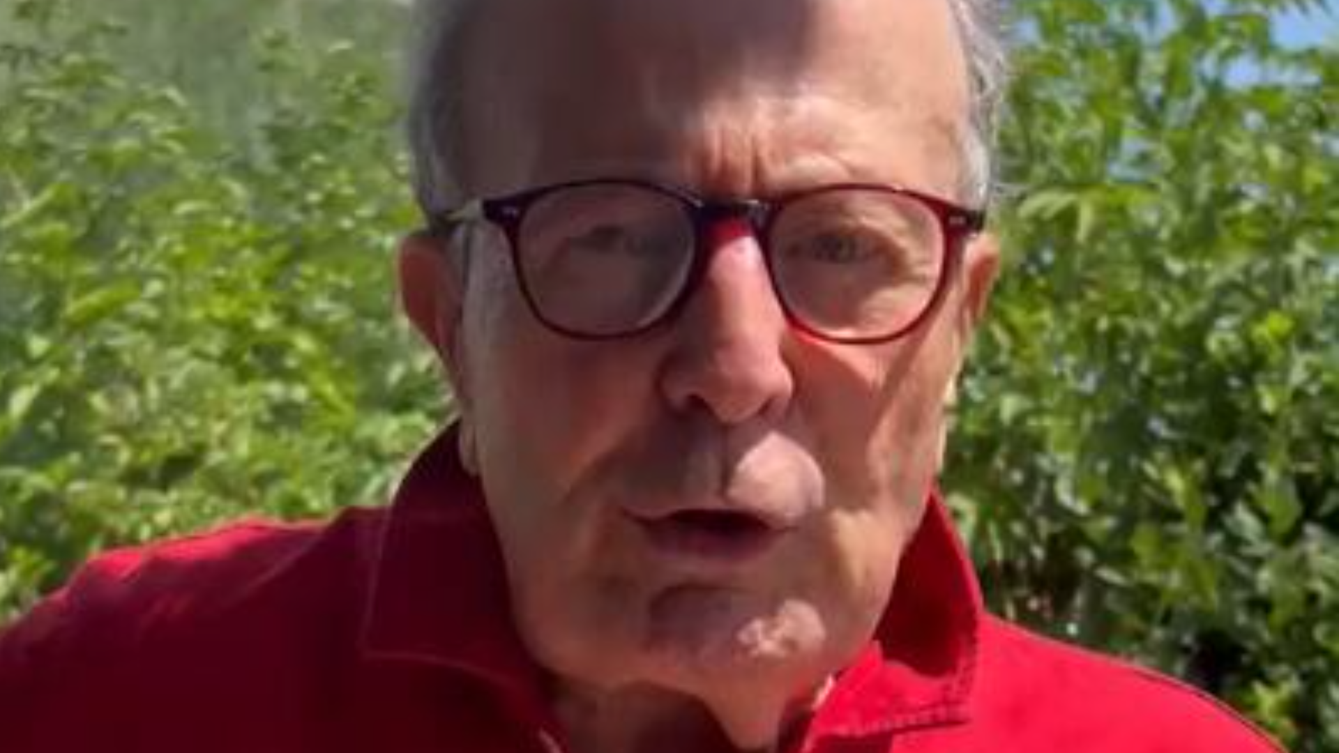 Caso Pirlo, il commento di Franco Ordine: "Escono tutti ammaccati"